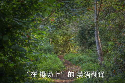 操場英語怎么說,英語單詞:操場上或在球場上踢球