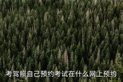 考駕照自己預約考試在什么網(wǎng)上預約