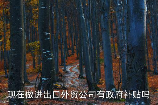 現(xiàn)在做進(jìn)出口外貿(mào)公司有政府補(bǔ)貼嗎