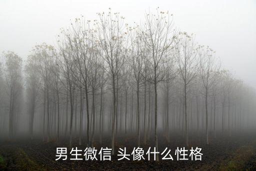  男生微信 頭像什么性格