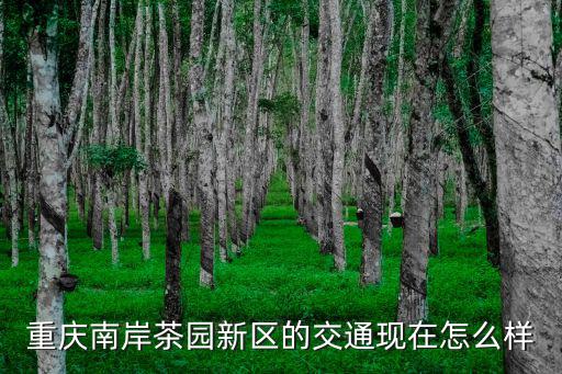 重慶南岸茶園新區的交通現在怎么樣