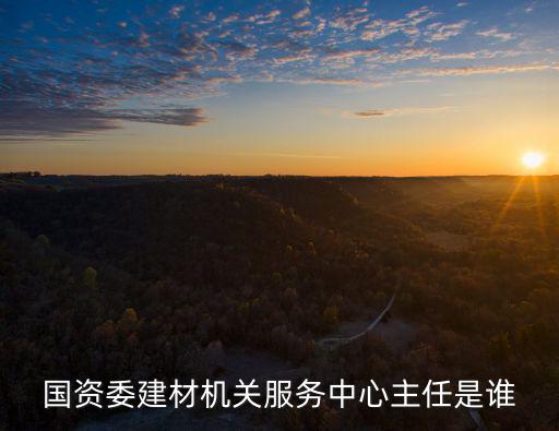 國資委建材機關服務中心主任是誰