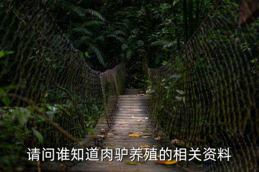 請問誰知道肉驢養殖的相關資料