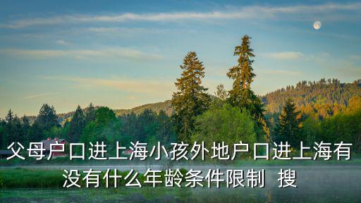 父母戶口進上海小孩外地戶口進上海有沒有什么年齡條件限制  搜