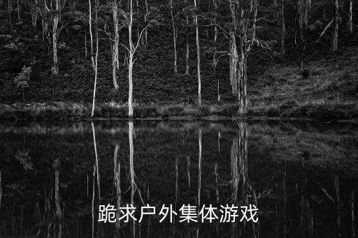 戶外集體游戲，跪求戶外集體游戲
