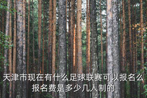 天津市足球協會，天津有沒有足球社團有的話在哪