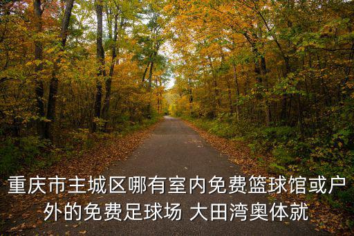 重慶市主城區室內足球場，重慶主城區周末哪些地方踢球比較便宜
