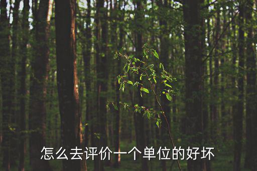 怎么去評價一個單位的好壞