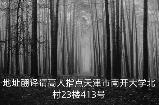 地址翻譯請高人指點天津市南開大學北村23樓413號