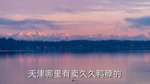 天津哪里有賣久久鴨脖的