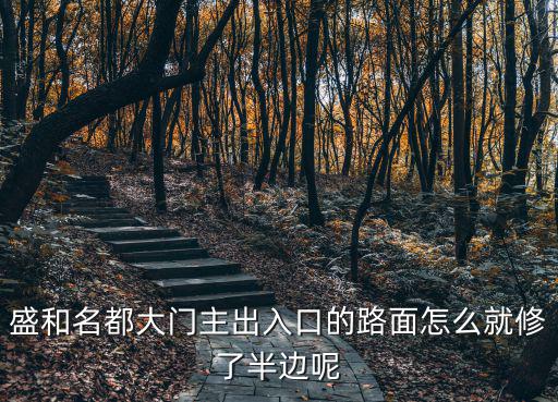 盛和名都大門主出入口的路面怎么就修了半邊呢