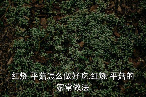 紅燒 平菇怎么做好吃,紅燒 平菇的家常做法