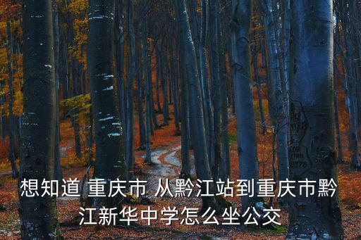 想知道 重慶市 從黔江站到重慶市黔江新華中學怎么坐公交