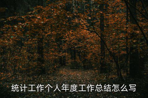 統計工作個人年度工作總結怎么寫