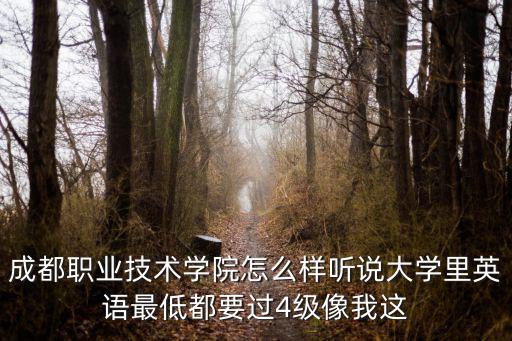 成都市職業技術商務英語學院，成都職業技術學院商務英語專業多少分能上啊