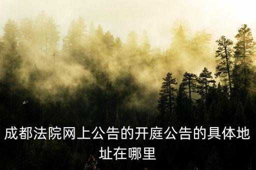 成都法院網上公告的開庭公告的具體地址在哪里