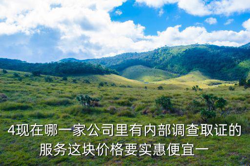 4現在哪一家公司里有內部調查取證的服務這塊價格要實惠便宜一