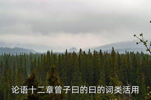 論語十二章教案，論語十二章孔子是如何論述為師之道和從師之道
