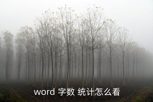  word 字數 統計怎么看