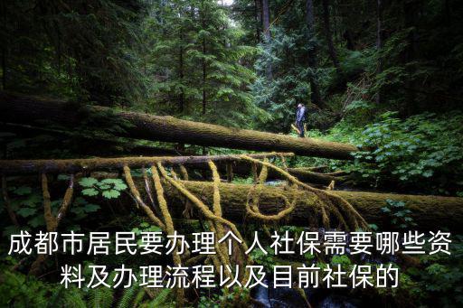 成都市居民要辦理個(gè)人社保需要哪些資料及辦理流程以及目前社保的