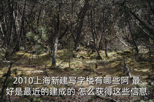 2010上海新建寫字樓有哪些阿 最好是最近的建成的 怎么獲得這些信息