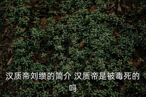 漢質帝劉纘的簡介 漢質帝是被毒死的嗎