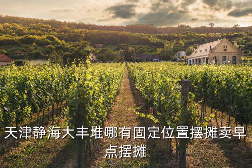 天津靜海大豐堆哪有固定位置擺攤賣早點擺攤