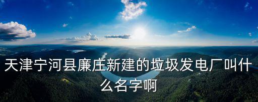 天津寧河縣廉莊新建的垃圾發電廠叫什么名字啊