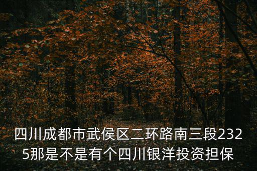四川成都市武侯區(qū)二環(huán)路南三段2325那是不是有個(gè)四川銀洋投資擔(dān)保