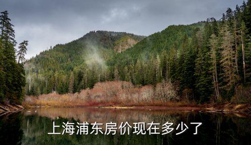 上海浦東滴水湖房價，16號線開通后滴水湖房價漲了沒