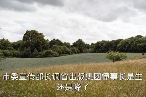 重慶市宣傳部文俊，市委宣傳部副部長兼文明辦主任這個位置怎么樣今年46歲還有政治前途
