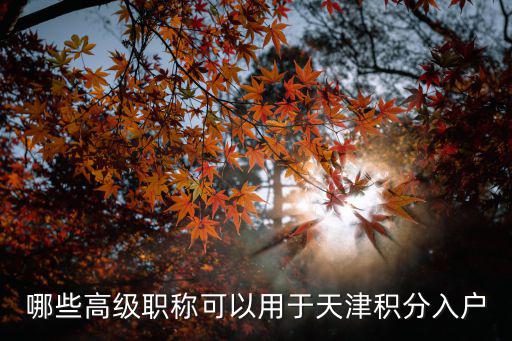 哪些高級(jí)職稱可以用于天津積分入戶