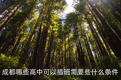成都哪些高中可以插班需要些什么條件