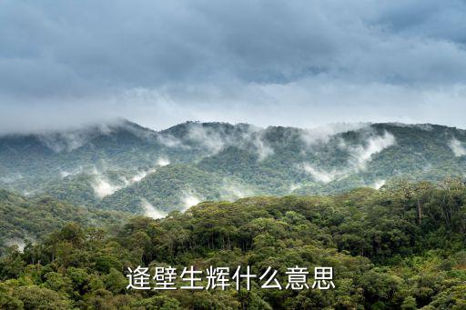 蓬蓽生輝的意思，逄壁生輝什么意思