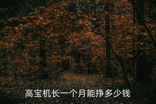 高寶機長一個月能掙多少錢