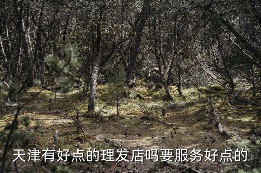 天津市咸水沽理發店，咸水沽大偉造型在哪里