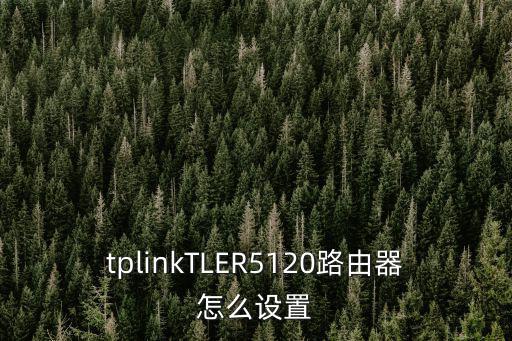 tplinkTLER5120路由器怎么設置