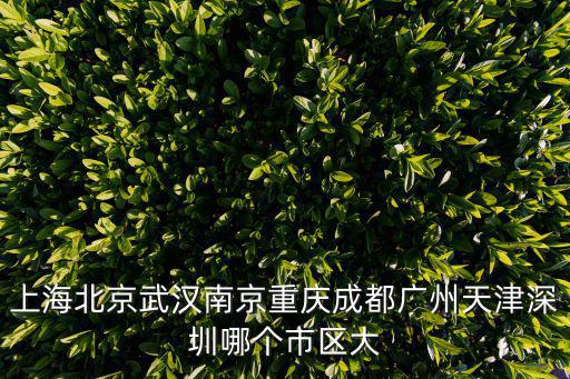 上海北京武漢南京重慶成都廣州天津深圳哪個市區大