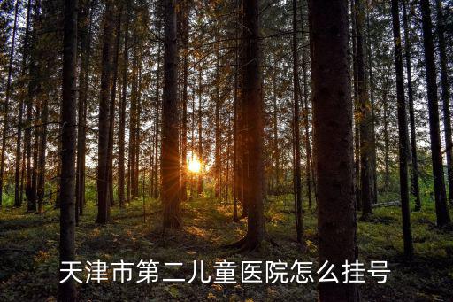 天津市第二兒童醫(yī)院怎么掛號
