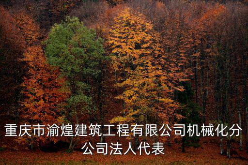 重慶市渝煌建筑工程有限公司機械化分公司法人代表