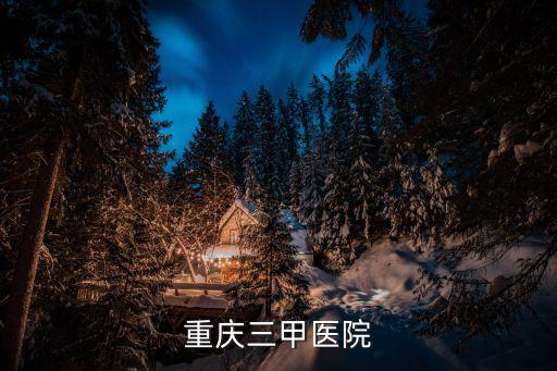 重慶三甲醫院