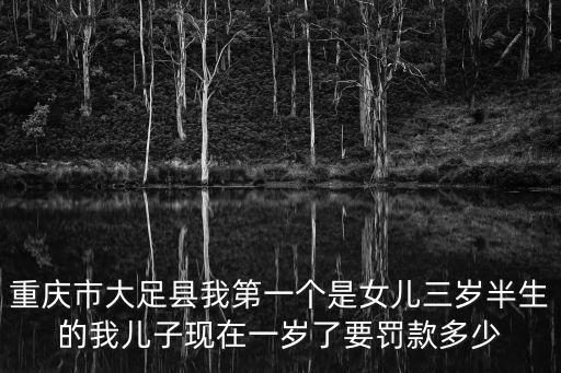重慶市大足縣我第一個是女兒三歲半生的我兒子現在一歲了要罰款多少