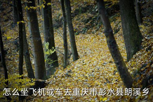 怎么坐飛機(jī)或車(chē)去重慶市彭水縣朗溪鄉(xiāng)