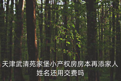 天津武清苑家堡小產權房房本再添家人姓名還用交費嗎