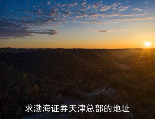 求渤海證券天津總部的地址