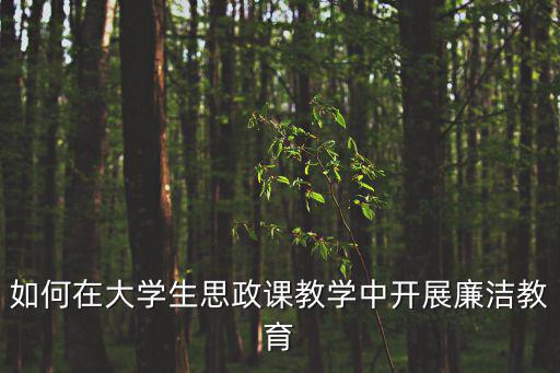 如何在大學生思政課教學中開展廉潔教育
