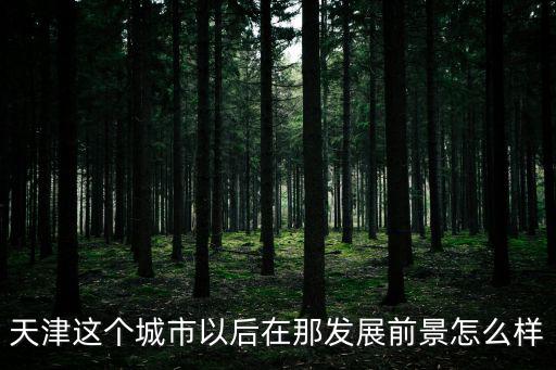 天津這個城市以后在那發展前景怎么樣