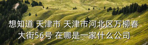 天津市永鑫盛，天津市河西區友誼北路銀豐大廈A座2201 是哪個公司公司名字叫什么