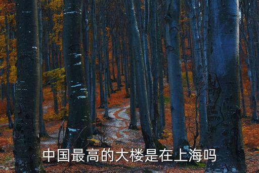 中國最高的大樓是在上海嗎