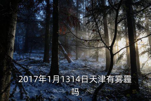 2017年1月1314日天津有霧霾嗎